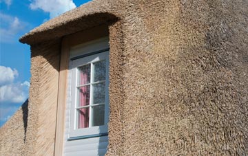 Rousky thatch roof disadvantages